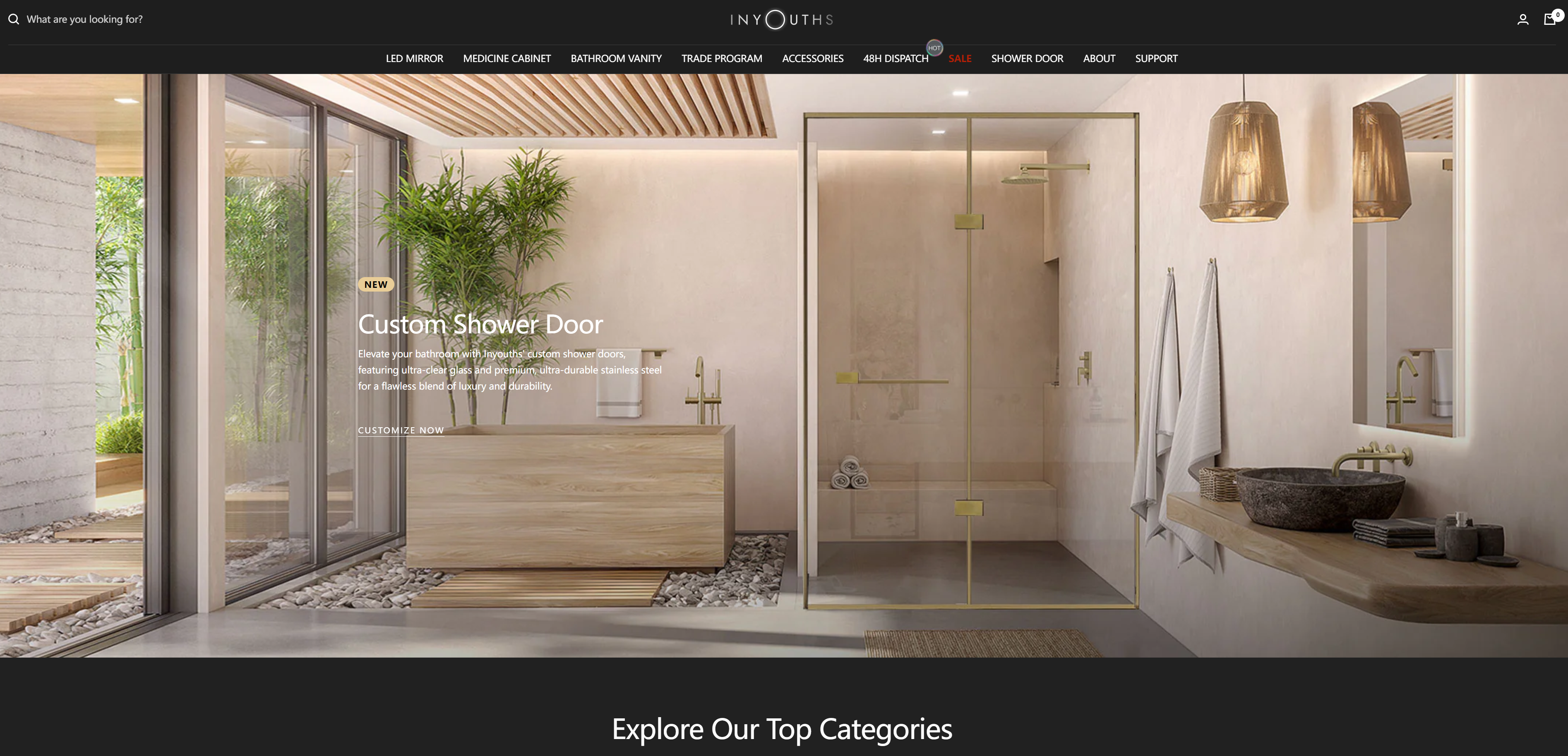 inyouth homepage visual